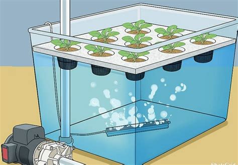 hydroponic grow box